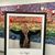 Becky Bull Kuhns's profile image
