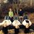June Dorr Bridges's profile image