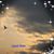 Carol Nien's profile image