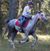 Isabelle Marret's profile image