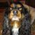 Bridget Kenyon's profile image
