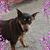Stephanie Joyner's profile image