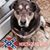 Al Clark's profile image