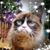 Marina Czapszys's profile image