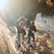 Laura Ann Weissgerber's profile image