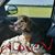 Christina Isenhower's profile image