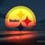 Karen B Sallisky's profile image