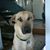 Alex Souders's profile image