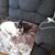 Lavonne Brandes's profile image