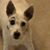 Dee Margetis's profile image