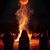Julie Yanosky-Hickerson's profile image