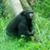 Kristi Weaver Louya's profile image