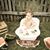 Melinda Agnew's profile image
