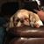 Becky McNealey Blankenship's profile image