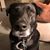 Nancy Taverna's profile image