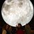 Gail Brodie's profile image