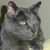 Terri Hart's profile image