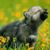 Karen Spencer's profile image