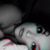 Yendy Gømez Chacon's profile image