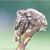 Heather Lichthardt's profile image