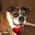 Sharon Frantz's profile image