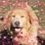 Stephanie Schnaible's profile image