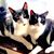 Ronni Fox's profile image