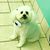 Colleen Soleck's profile image