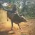 Joao Victor Lemos's profile image
