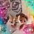 Sarah Meyer-Paterson's profile image
