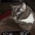 Shawna Marie's profile image