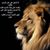 Soliman Moussa's profile image