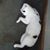 Deborah Bray's profile image