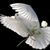 Kathy Jackson's profile image