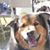Ann Wilson's profile image