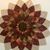 Dottie Peters's profile image
