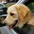 Carl Bagby's profile image
