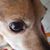 Robin Evans's profile image