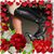 Adrienne Douglas's profile image