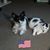 Rachelle Hulderman's profile image