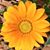 Tess Magnuson's profile image