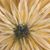 Debbie Mitchell's profile image