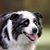Carol S Anderson's profile image