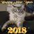 Pam Lynch's profile image