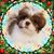 Sherry Sams Bishop's profile image