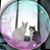 Mimi Benadiba's profile image