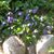 Debra Winslow's profile image
