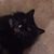 Ben Thompson's profile image