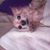 Rhonda Parker's profile image
