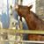 Nancy Steele's profile image